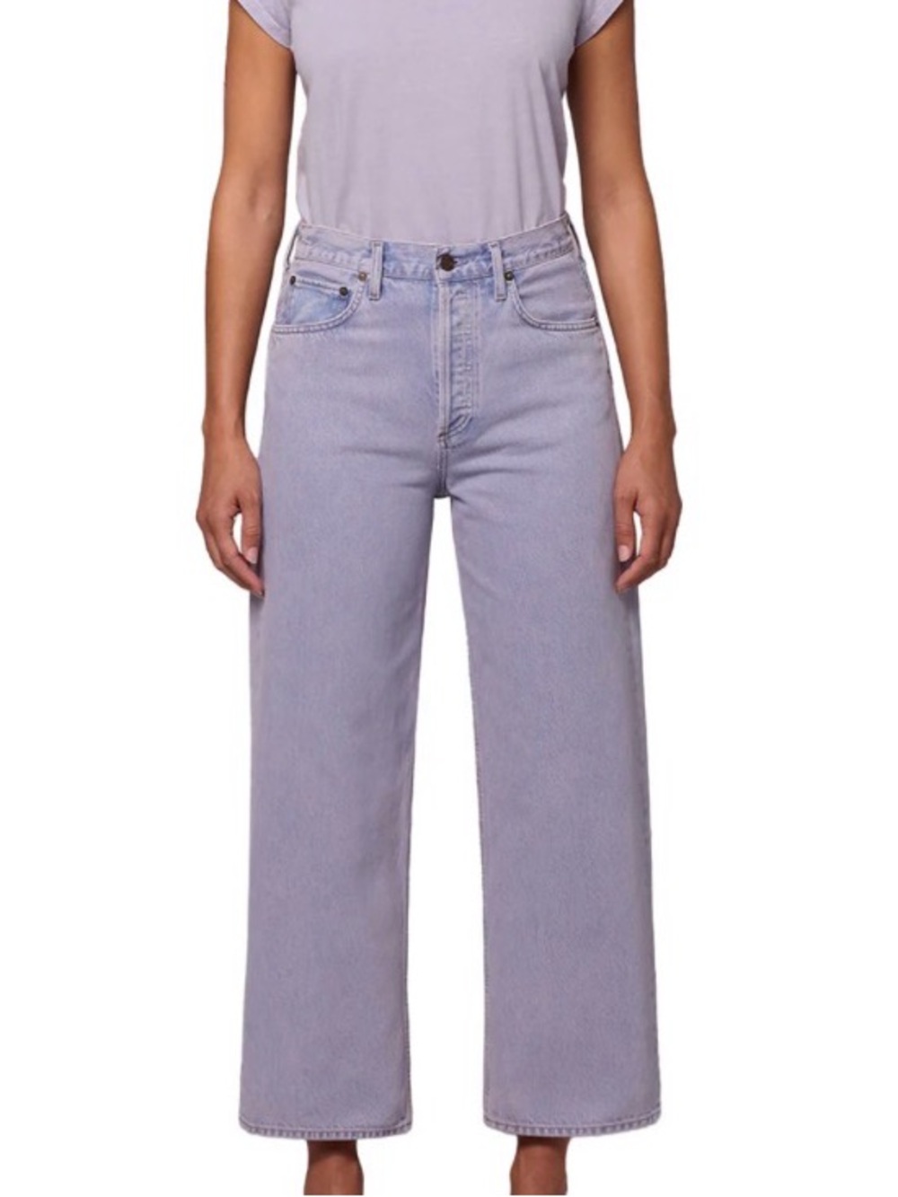 Agolde High-Rise Wide Leg Ren Jean in color Aura Size 26 New